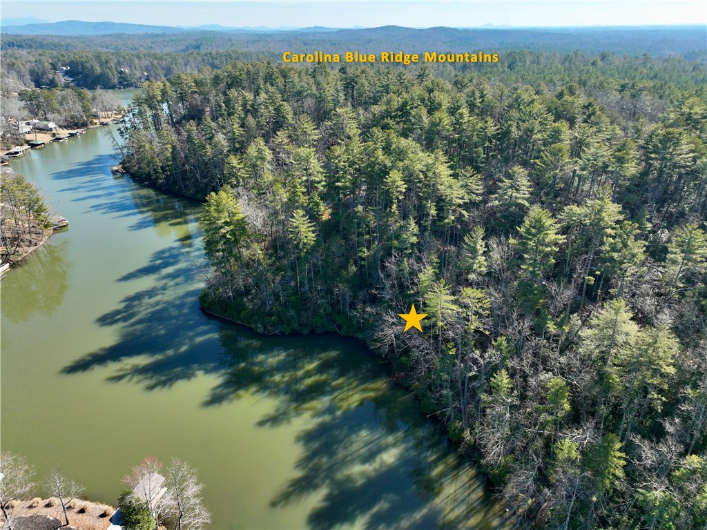 309-311 Evergreen Ridge Road Tamassee, SC 29686 - Photo 2 of 10 Gallery Image 2