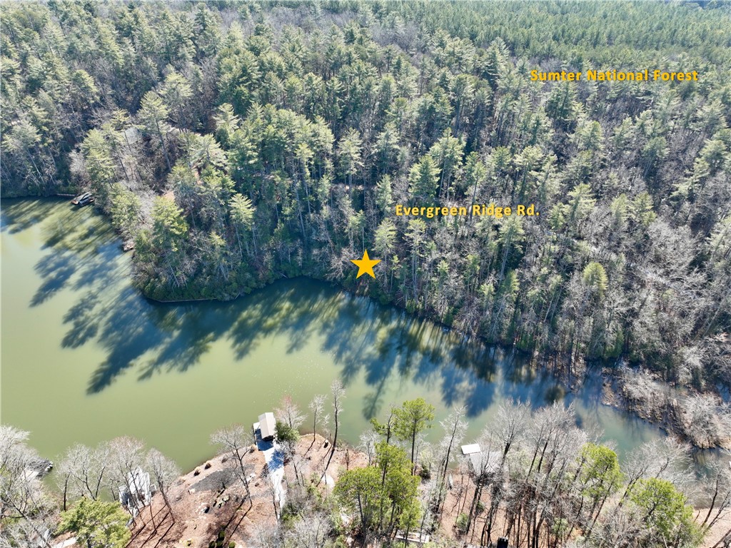 309-311 Evergreen Ridge Road Tamassee, SC 29686 - Photo 3 of 10 Gallery Image 3