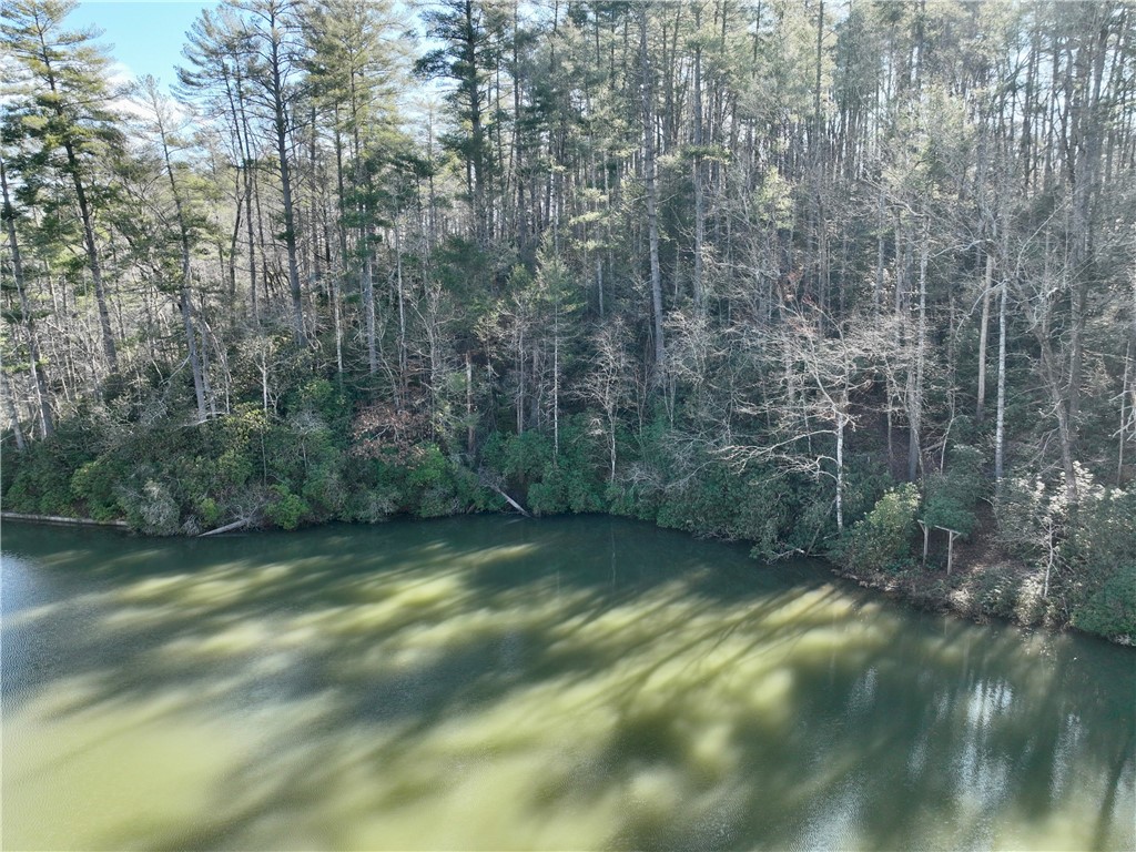 309-311 Evergreen Ridge Road Tamassee, SC 29686 - Photo 6 of 10 Gallery Image 6