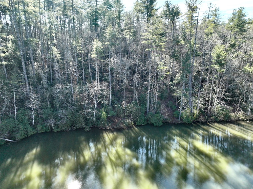 309-311 Evergreen Ridge Road Tamassee, SC 29686 - Photo 7 of 10 Gallery Image 7
