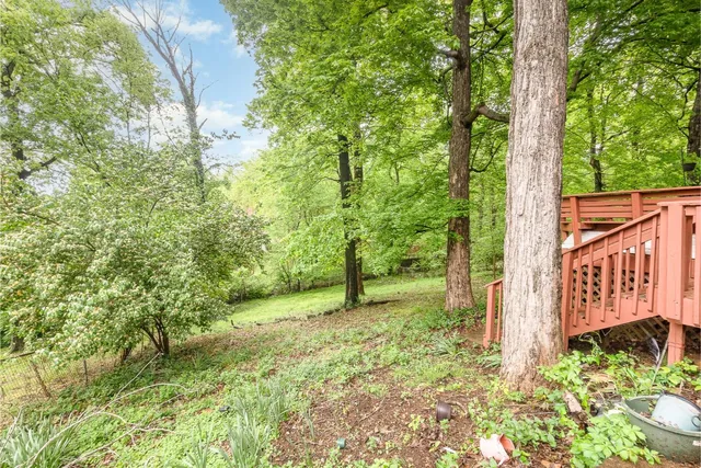 a big yard with lots of green space and plants