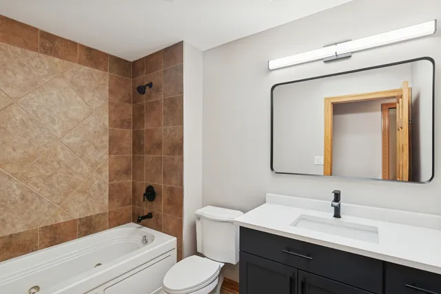 a bathroom with a toilet a sink a mirror a bathtub and vanity