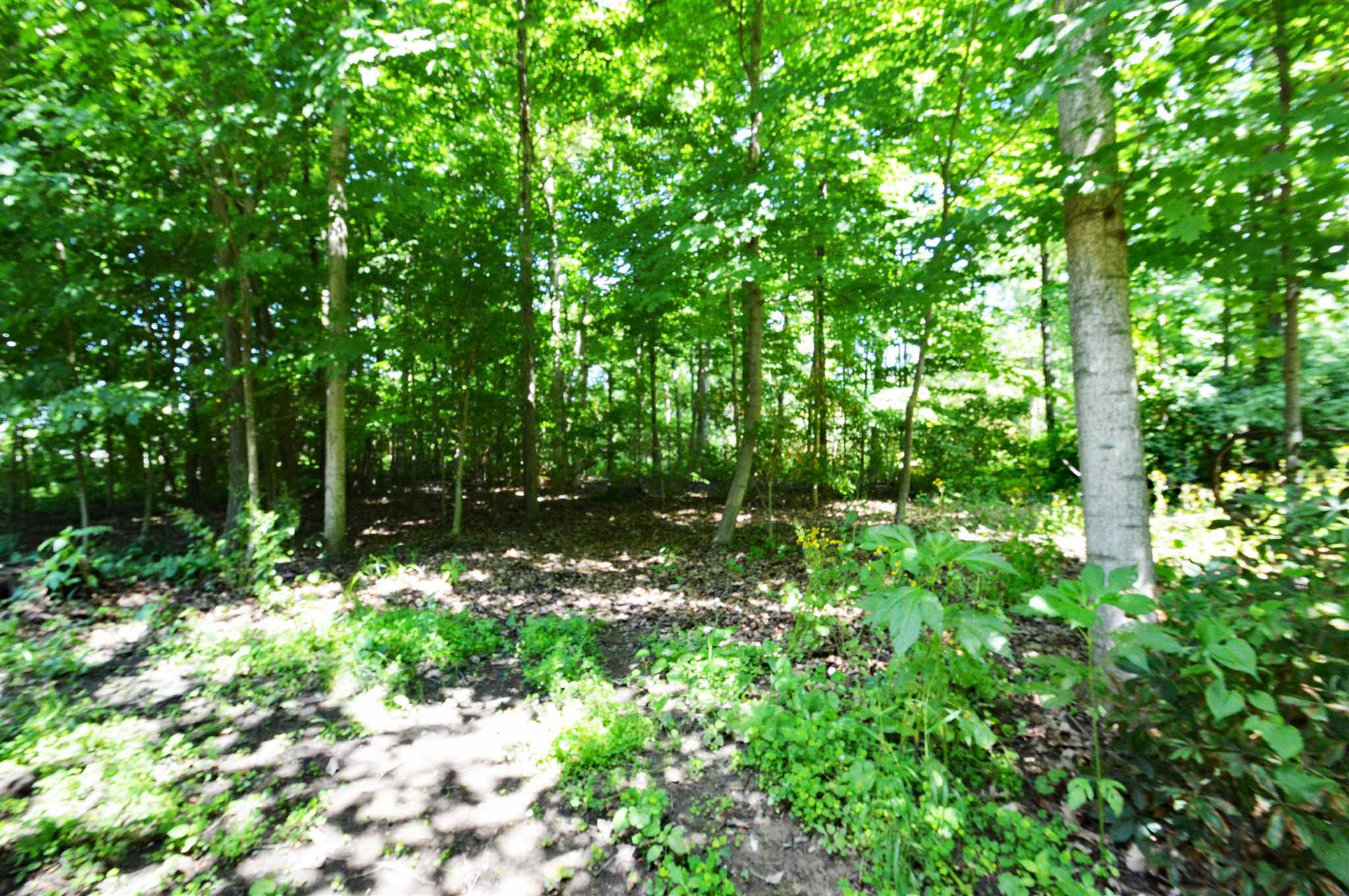 6202 Goshen Road Fort Wayne, IN 46818 - Photo 3 of 34