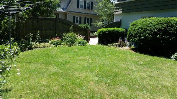 93 Morningside Road Worcester, MA 01602 - Photo 28 of 30 a front view of a house with a yard