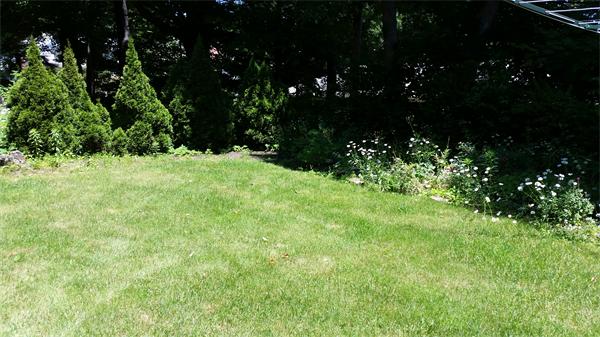 93 Morningside Road Worcester, MA 01602 - Photo 3 of 30 a view of outdoor space and yard
