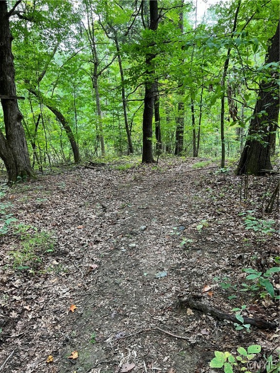 L42.111 L42.111 New Forge Road Ancram, NY 12502 - Photo 11 of 14