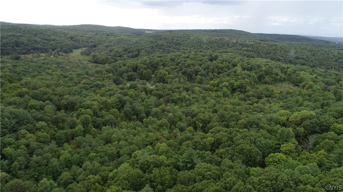 L42.111 L42.111 New Forge Road Ancram, NY 12502 - Photo 14 of 14