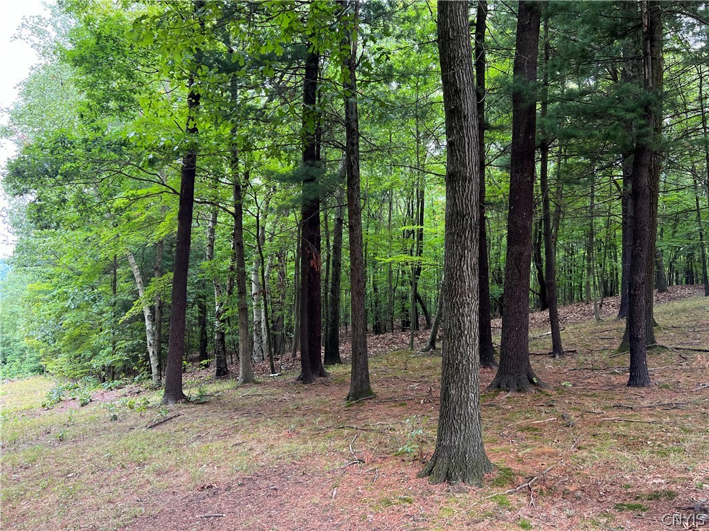 L42.111 L42.111 New Forge Road Ancram, NY 12502 - Photo 2 of 14