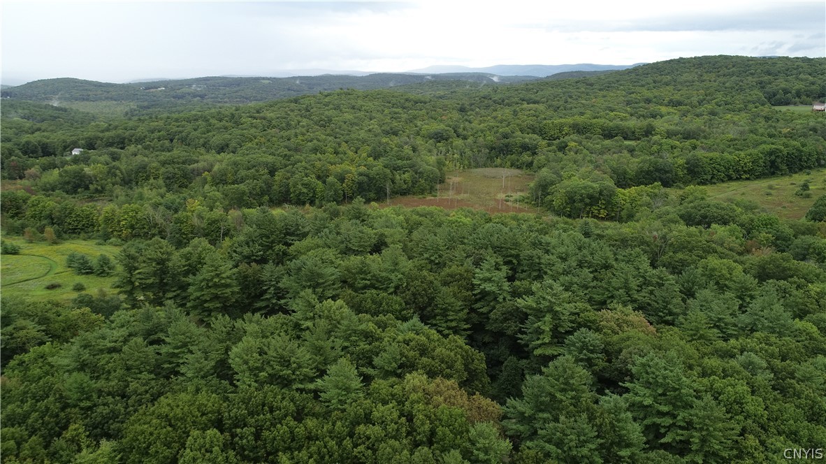 L42.111 L42.111 New Forge Road Ancram, NY 12502 - Photo 3 of 14