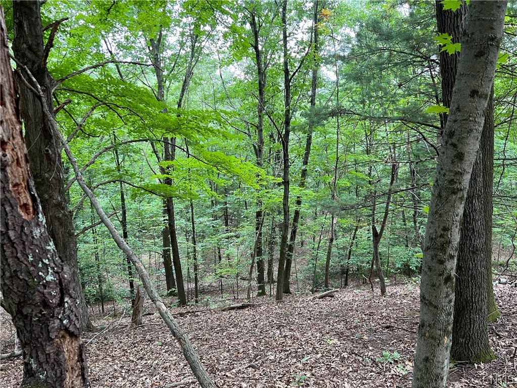 L42.111 L42.111 New Forge Road Ancram, NY 12502 - Photo 4 of 14