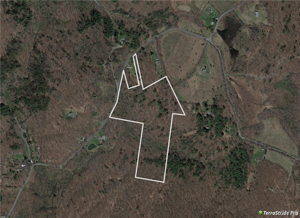 L42.111 L42.111 New Forge Road Ancram, NY 12502 - Photo 5 of 14