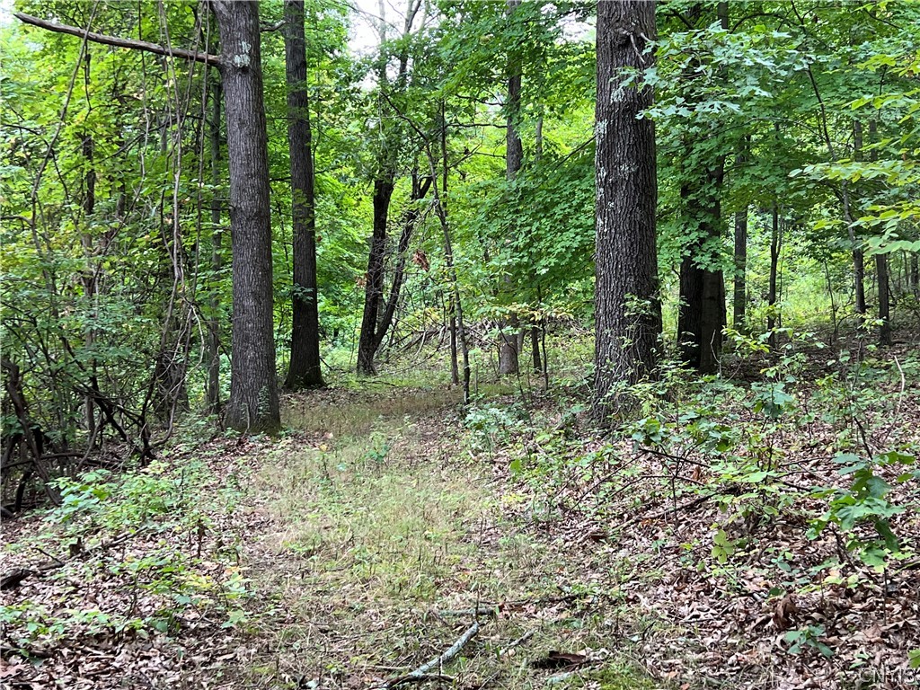 L42.111 L42.111 New Forge Road Ancram, NY 12502 - Photo 6 of 14