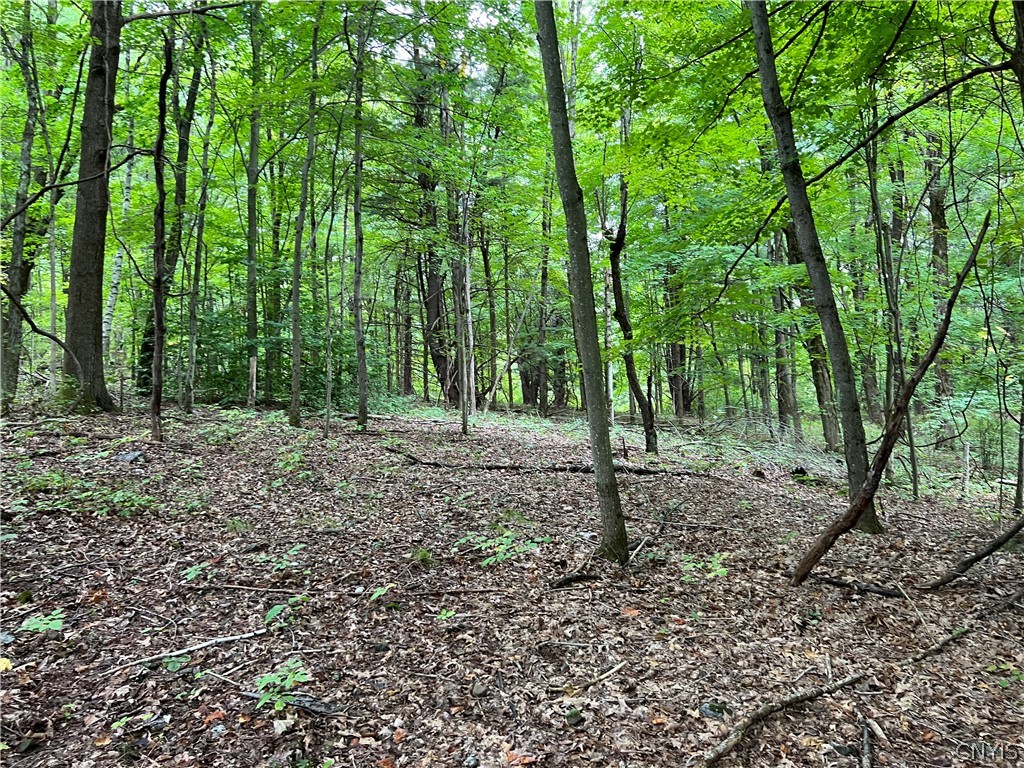 L42.111 L42.111 New Forge Road Ancram, NY 12502 - Photo 7 of 14