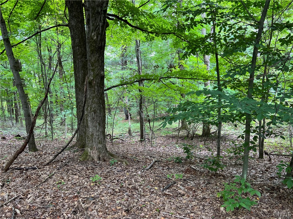 L42.111 L42.111 New Forge Road Ancram, NY 12502 - Photo 8 of 14