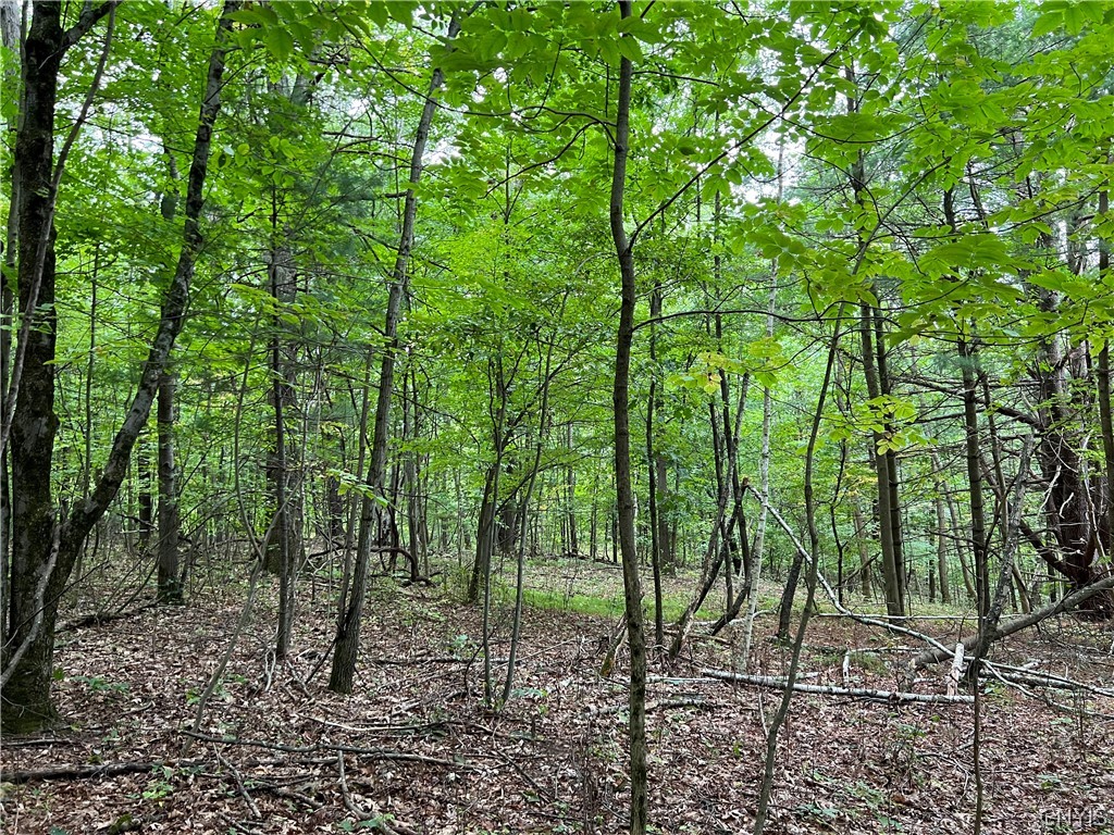 L42.111 L42.111 New Forge Road Ancram, NY 12502 - Photo 10 of 14