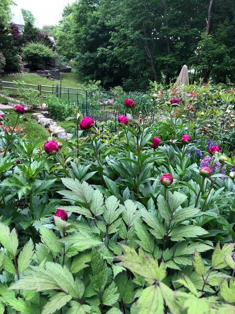 11 Spruce Street Rockport, ME 04856 - Photo 19 of 24 IMG_6930