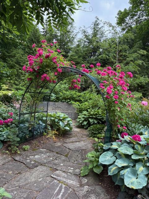 11 Spruce Street Rockport, ME 04856 - Photo 21 of 24 IMG_0368