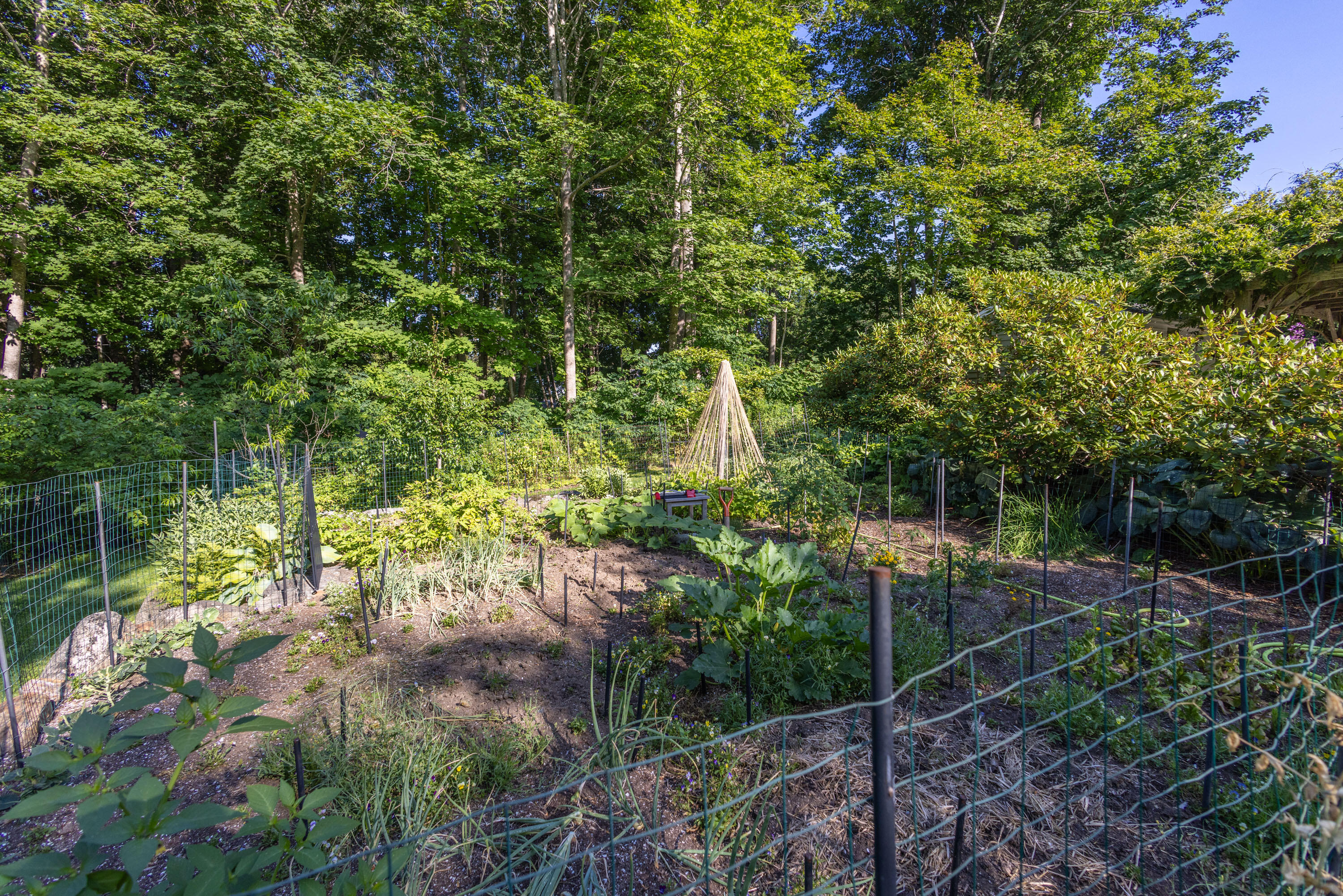 11 Spruce Street Rockport, ME 04856 - Photo 5 of 24 _SMC0171