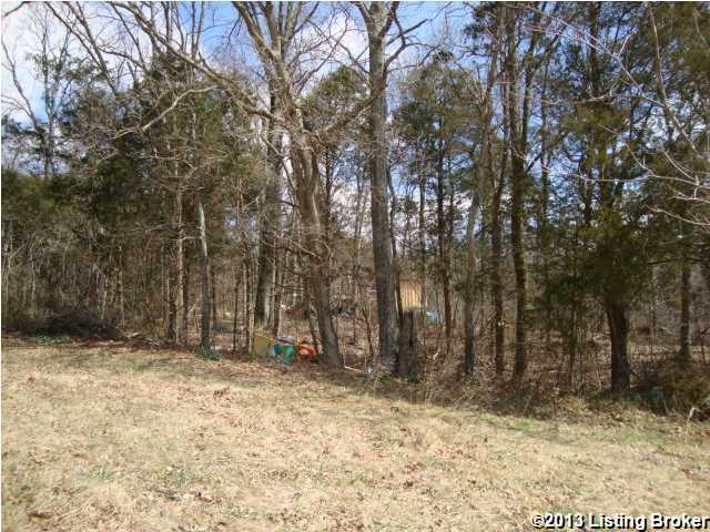 320 Copelin Road Bonnieville, KY 42713 - Photo 14 of 17 Additional Photo