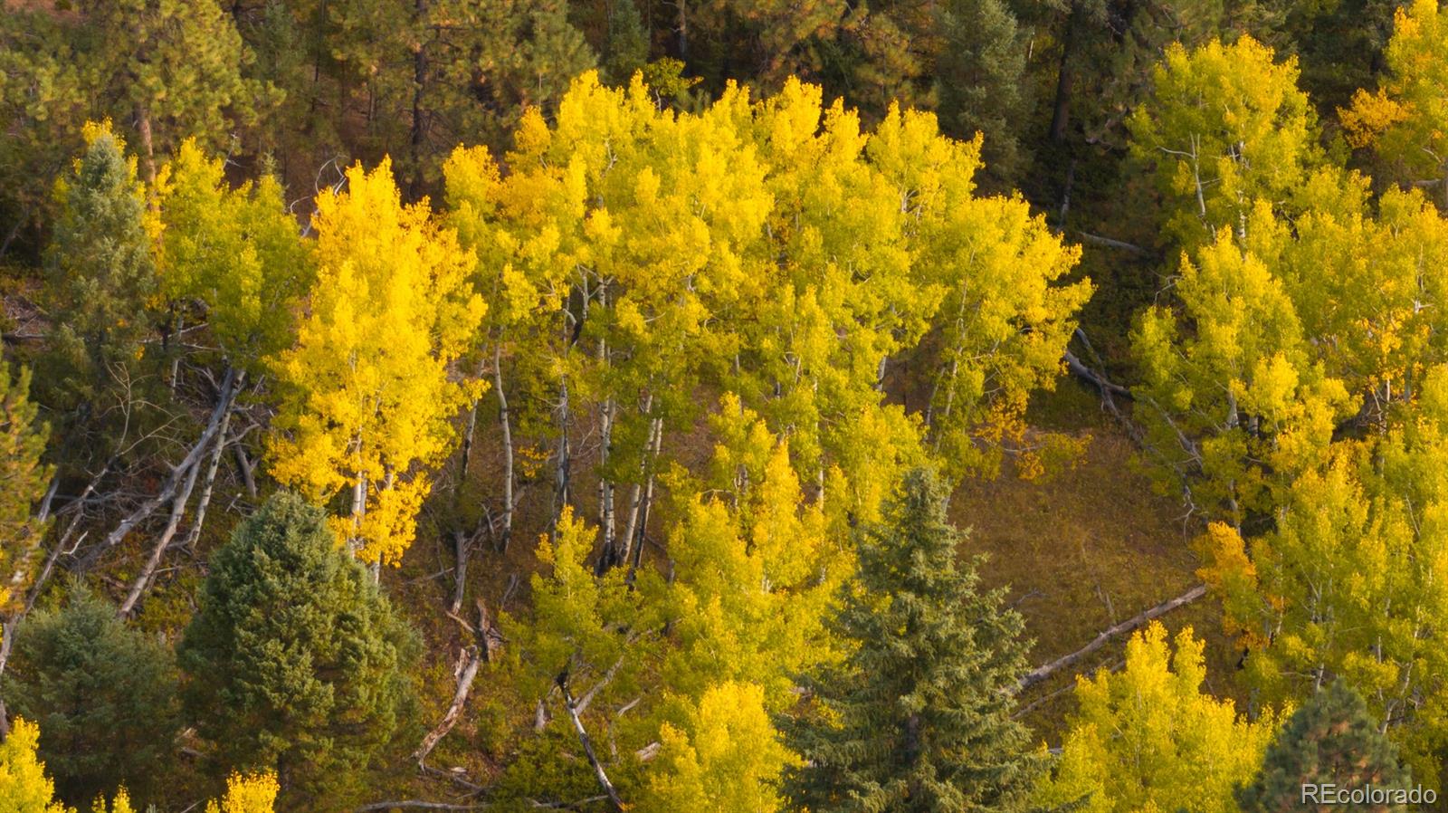 0 Rampart Range Road Sedalia, CO 80135 - Photo 7 of 25
