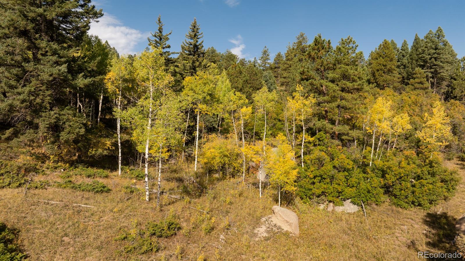 0 Rampart Range Road Sedalia, CO 80135 - Photo 10 of 25