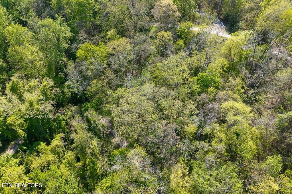 94 Austin Bottom Road Baxter, TN 38544 - Photo 12 of 19 243475_18
