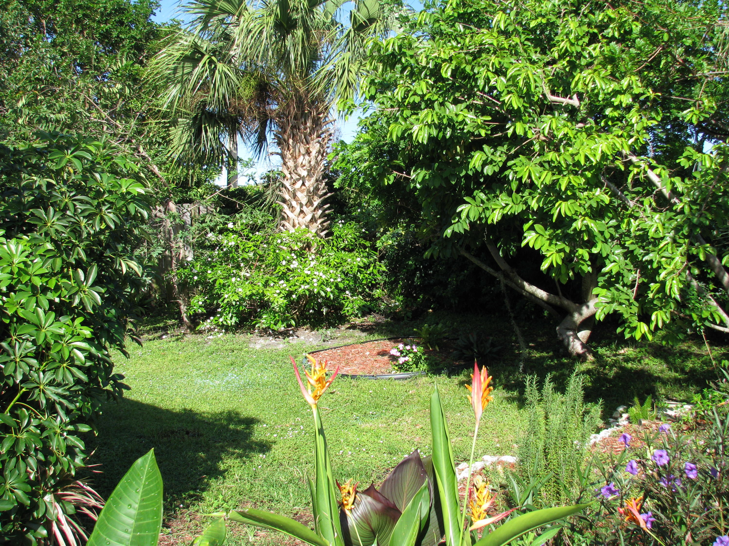 2775 Southwest 2nd Street Delray Beach, FL 33445 - Photo 12 of 17 back yard