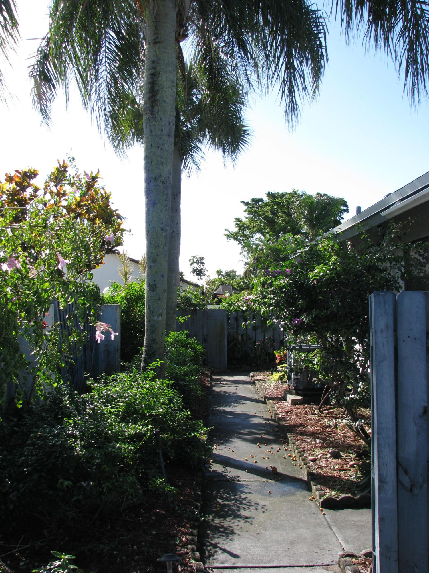 2775 Southwest 2nd Street Delray Beach, FL 33445 - Photo 13 of 17 side yard