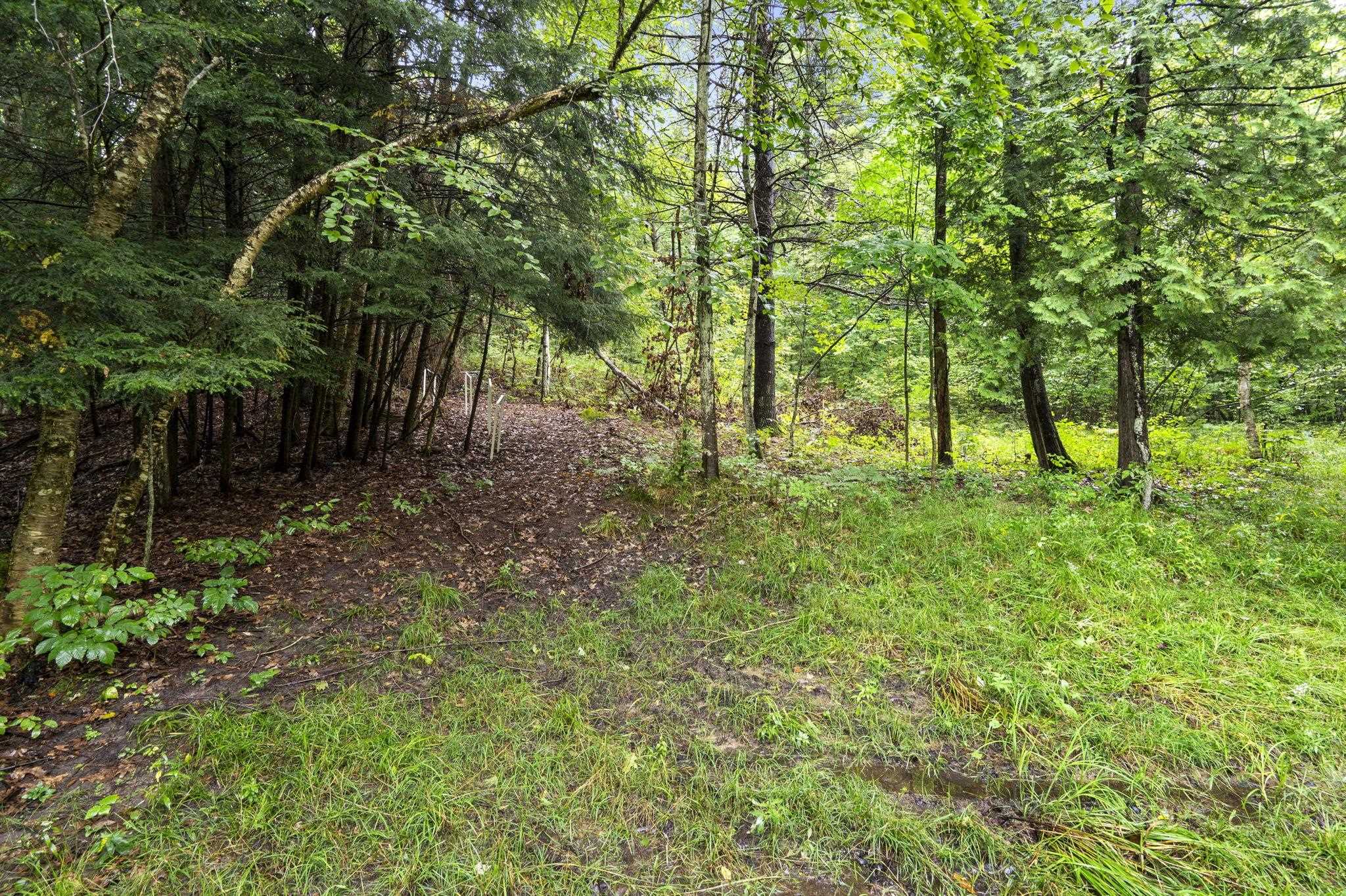 5275 Pierce Road Kingsley, MI 49649 - Photo 71 of 81 1950349-07f666ec-3901-47fa-ae18-6db07a4d1103.JPG