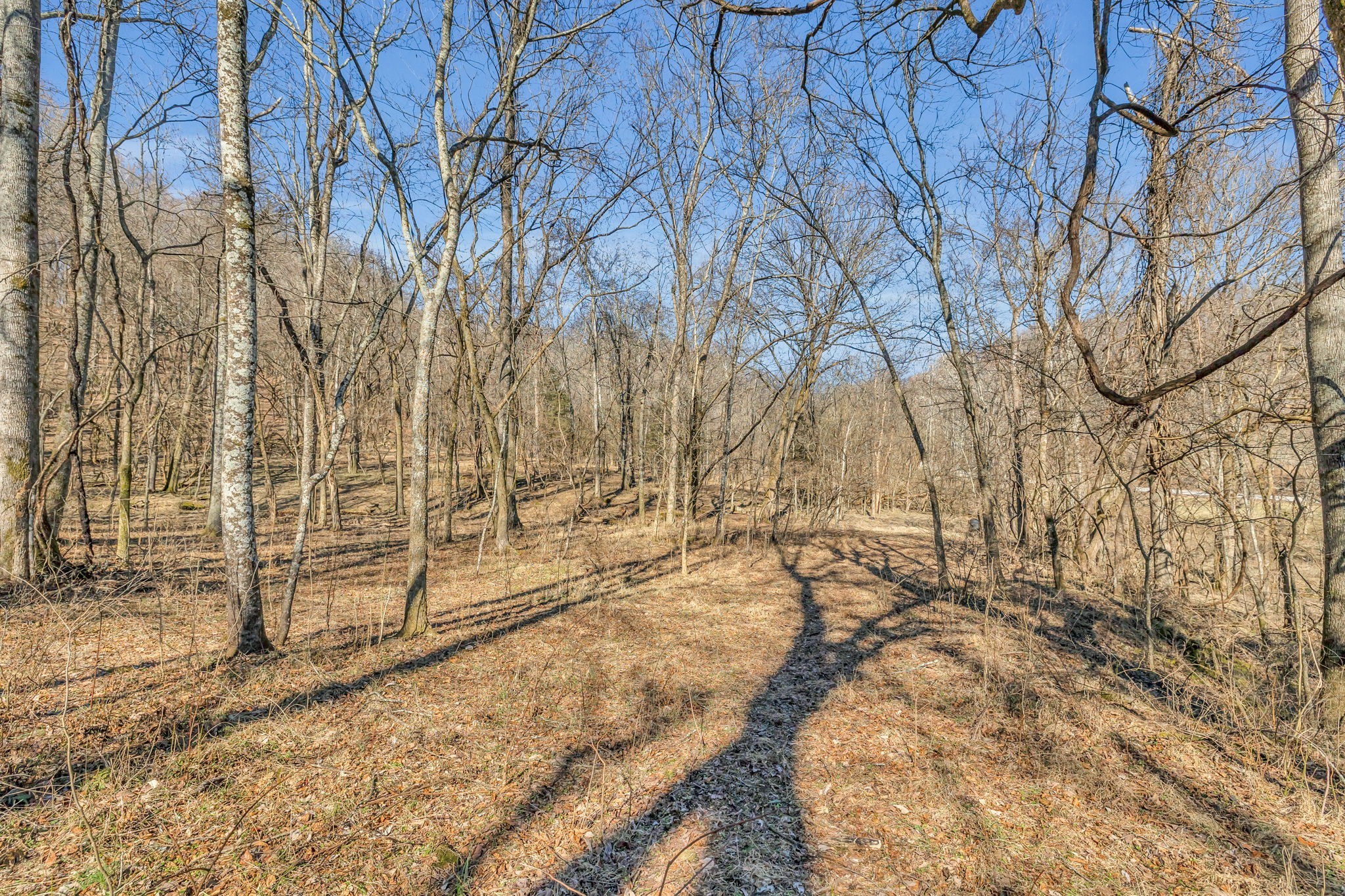 3159 Blazer Road Franklin, TN 37064 - Photo 1 of 10 Gallery Image 1
