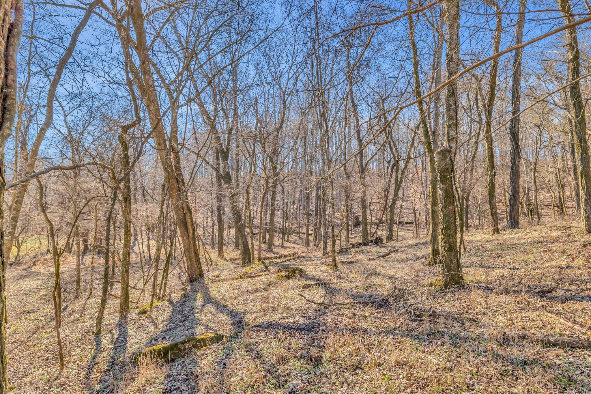 3159 Blazer Road Franklin, TN 37064 - Photo 2 of 10 Gallery Image 2