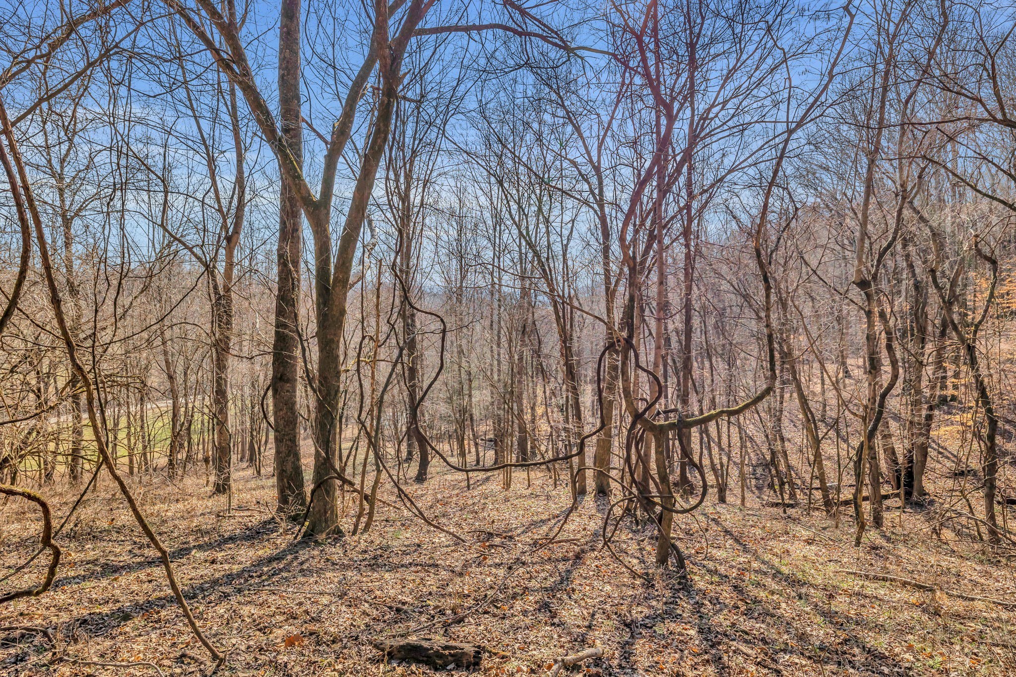 3159 Blazer Road Franklin, TN 37064 - Photo 4 of 10 Gallery Image 4