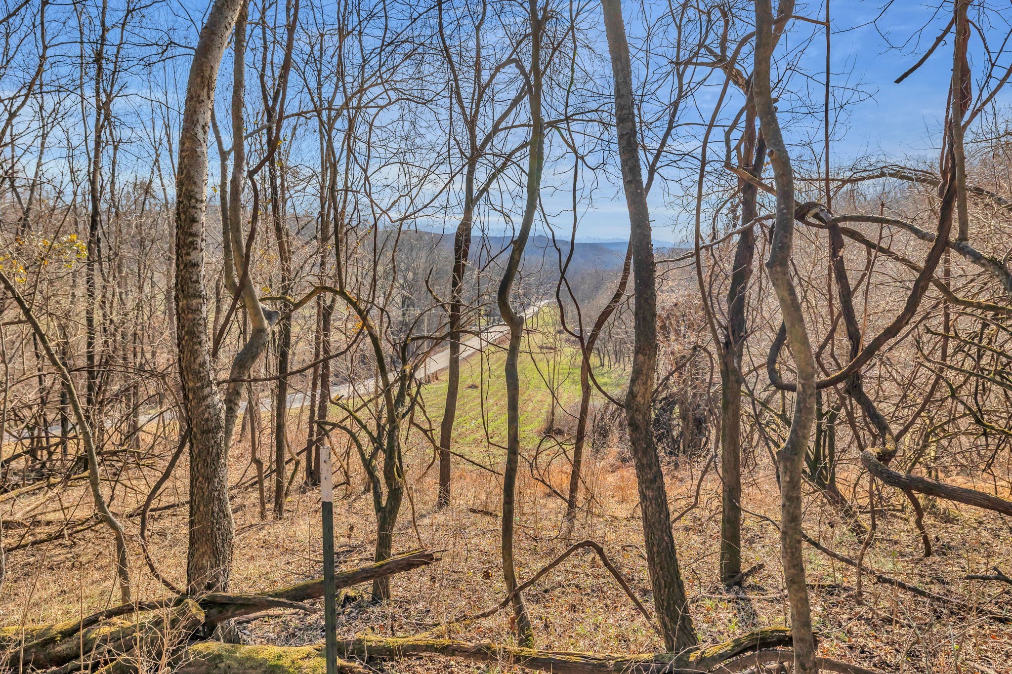 3159 Blazer Road Franklin, TN 37064 - Photo 5 of 10 Gallery Image 5