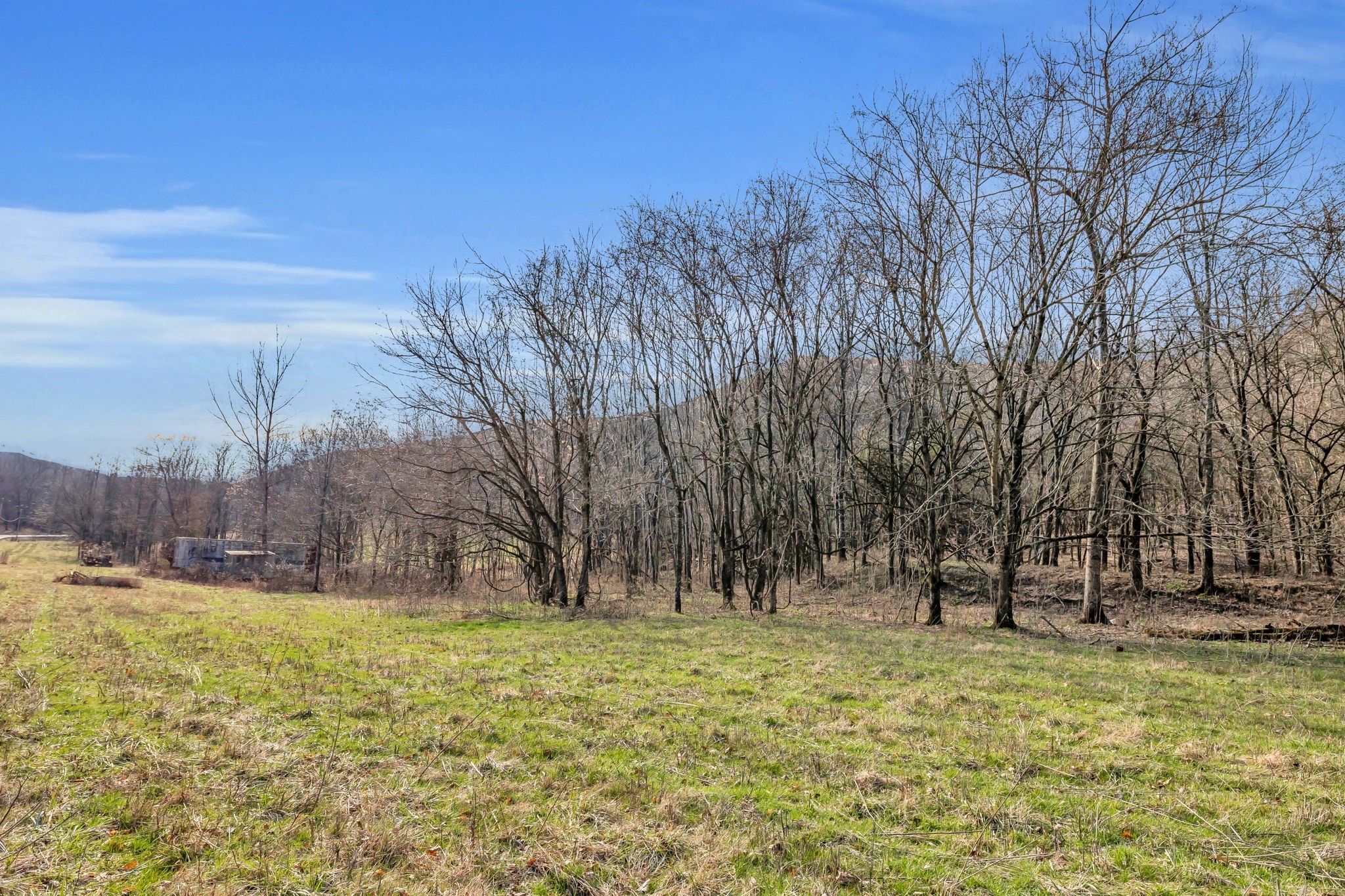3159 Blazer Road Franklin, TN 37064 - Photo 6 of 10 Gallery Image 6