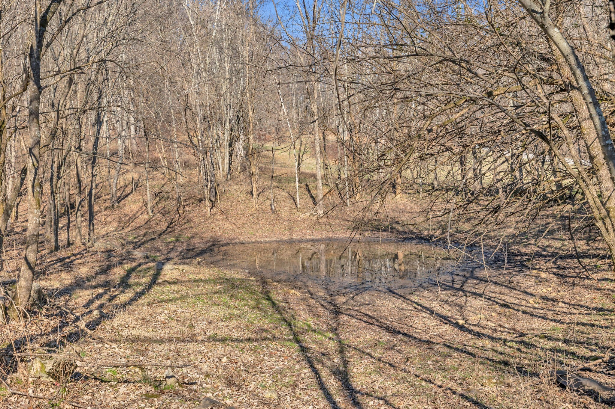 3159 Blazer Road Franklin, TN 37064 - Photo 10 of 10 Gallery Image 10