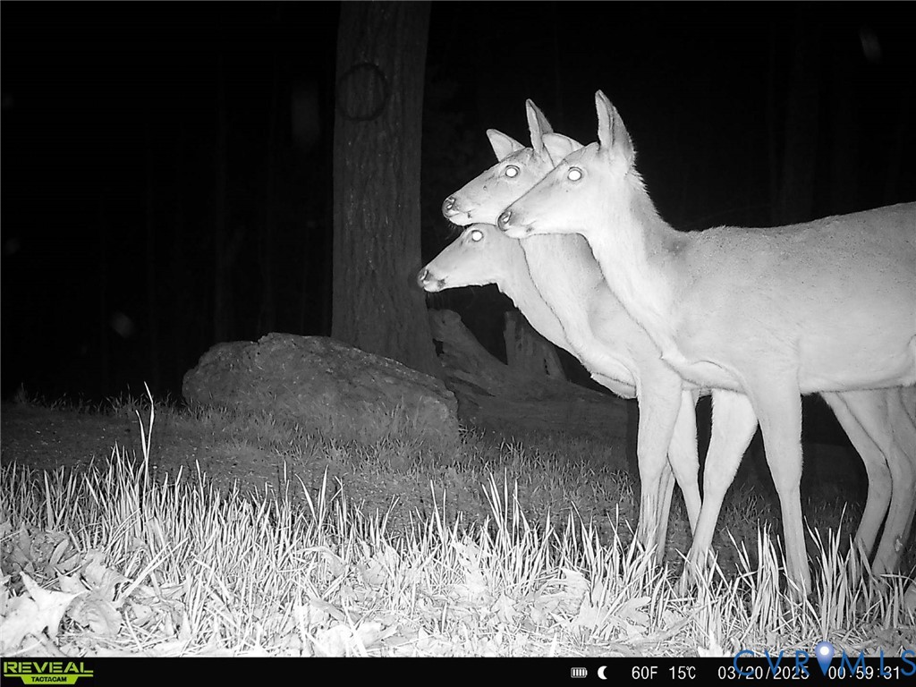 1192 West Store Road Halifax, VA 24558 - Photo 34 of 53
