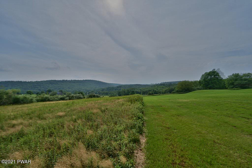 229 Griffith Road Tyler Hill, PA 18469 - Photo 65 of 65 Photo 100