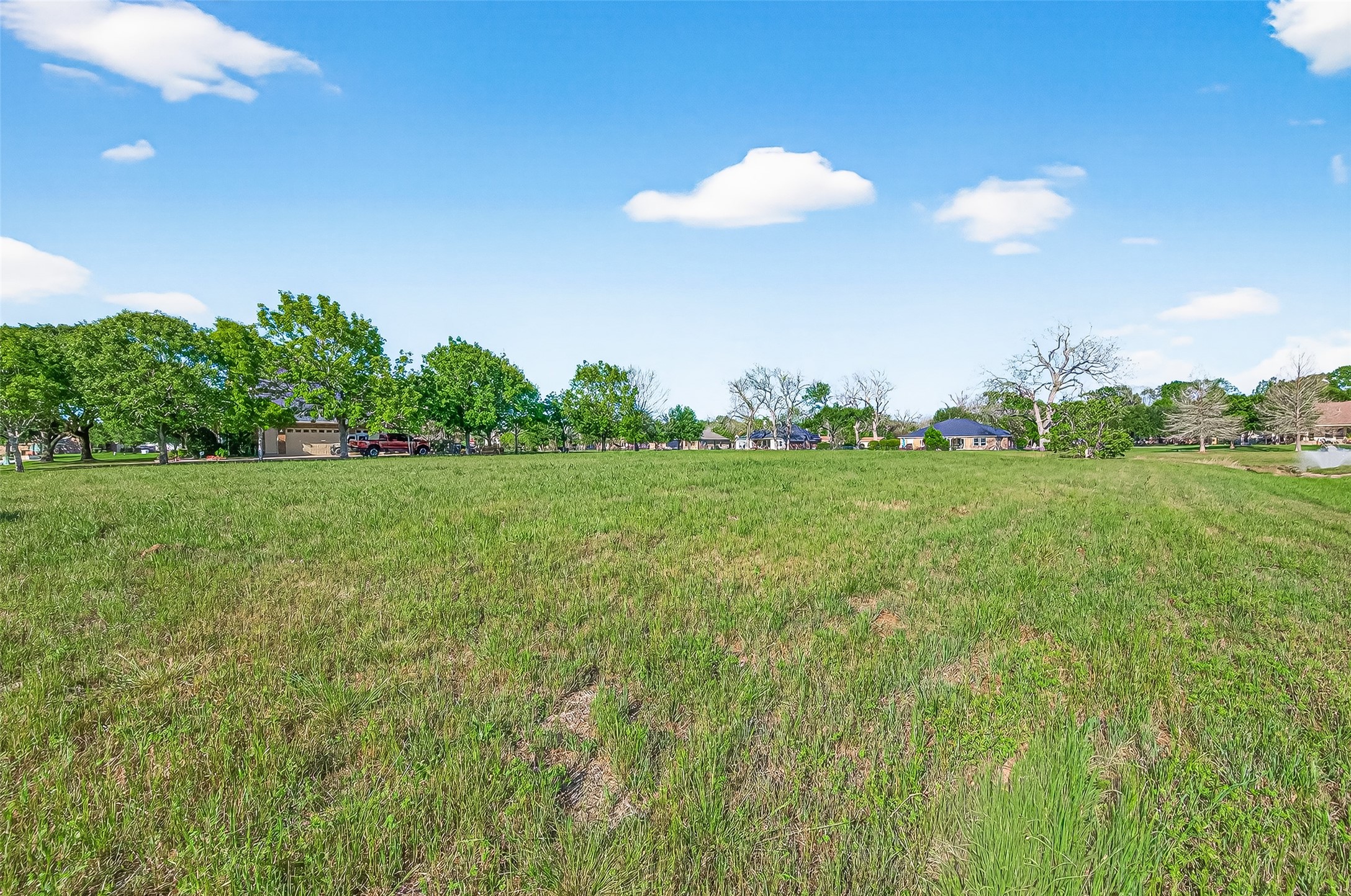 3510 River Ranch N Drive Rosenberg, TX 77471 - Photo 11 of 11 a view of a green field with lots of bushes