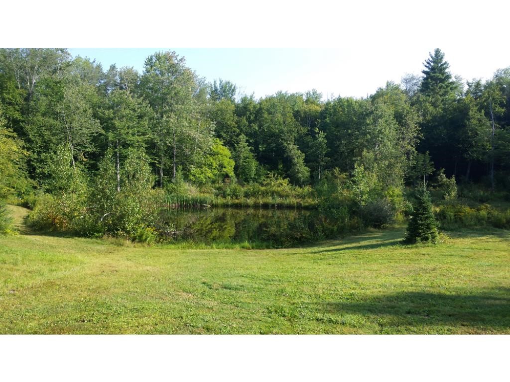 175 Sheepboro Road Farmington, NH 03835 - Photo 32 of 36