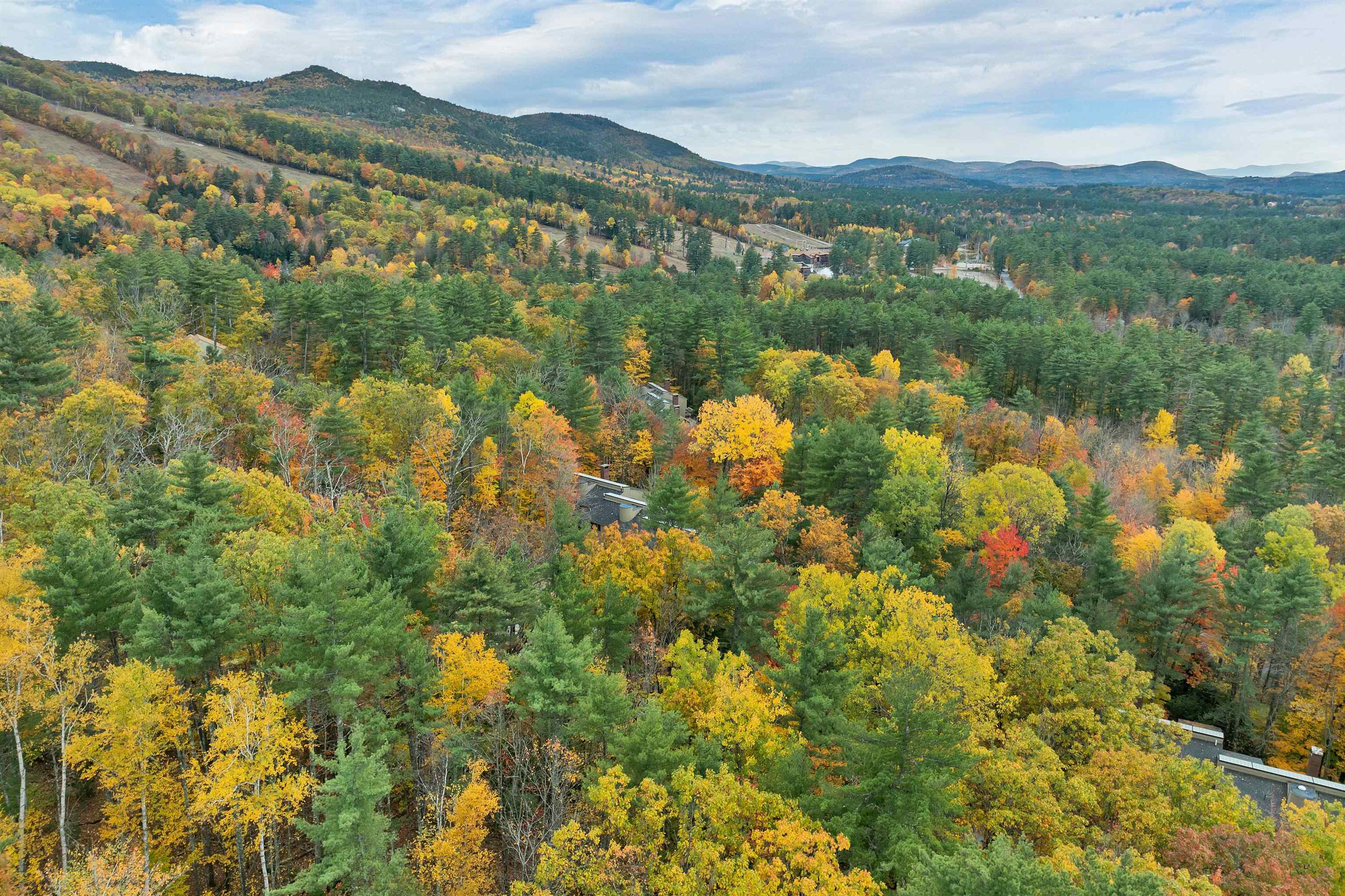 72 Cranmore Wds Lane, Unit 4 Conway, NH 03860 - Photo 57 of 60