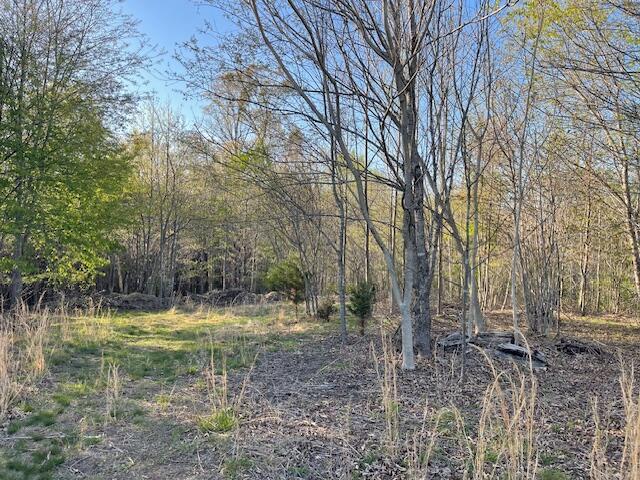 0 Morgans Mill Road Goodview, VA 24095 - Photo 15 of 16 a backyard of a house with lots of green space
