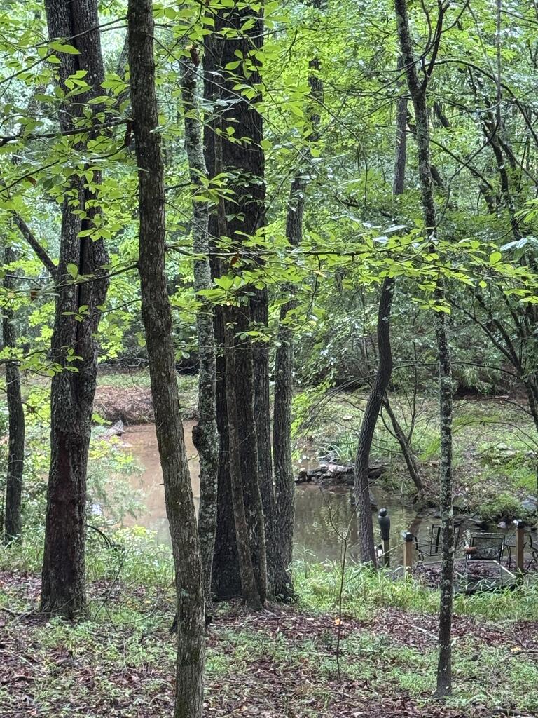 493 Harper Valley Road Mineral Bluff, GA 30559 - Photo 4 of 23 Gallery Image 4