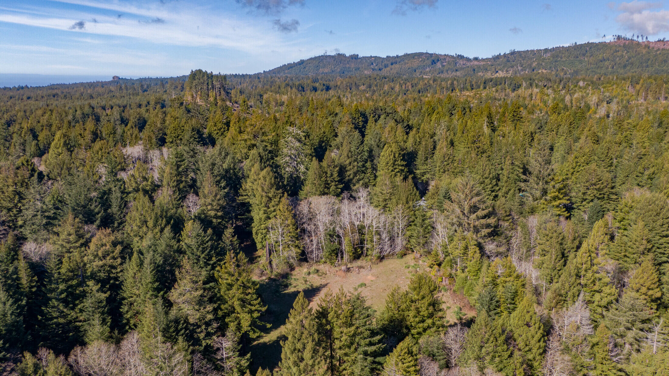 1180 Fox Farm Road Trinidad, CA 95570 - Photo 7 of 36
