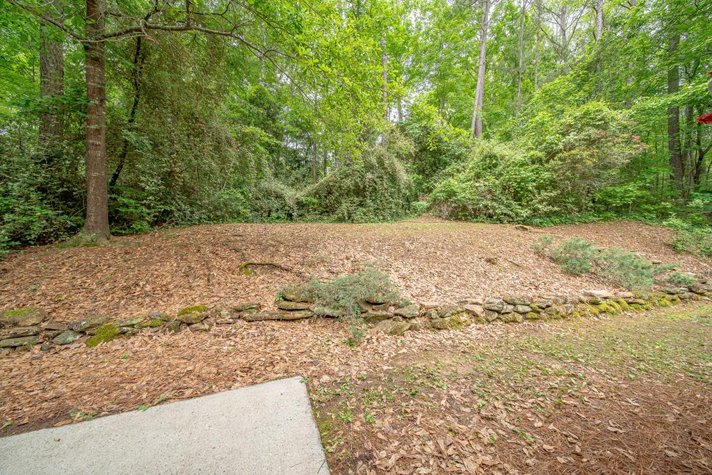111 Stoneridge Road Cataula, GA 31804 - Photo 41 of 45 a view of a yard with a tree