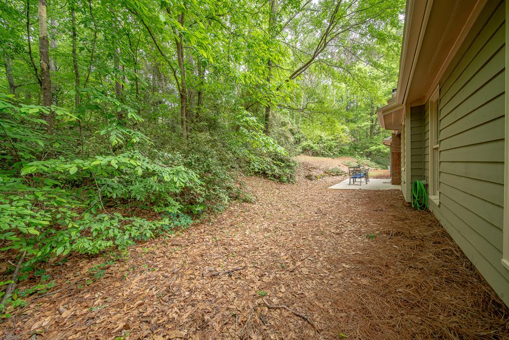 111 Stoneridge Road Cataula, GA 31804 - Photo 44 of 45 a view of a yard with plants and trees