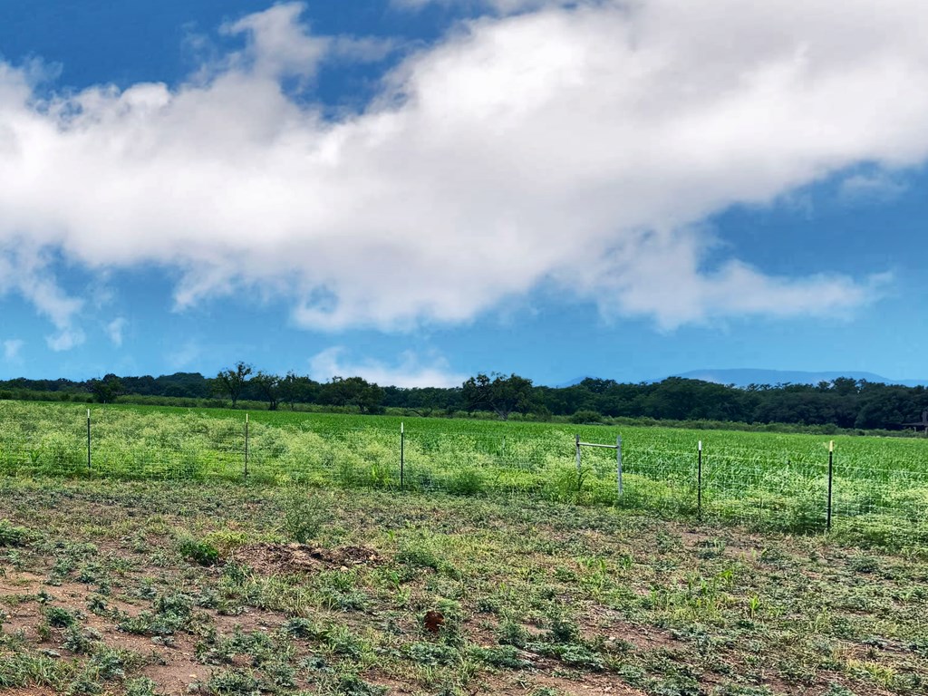 1008 B And R Road Utopia, TX 78884 - Photo 25 of 28