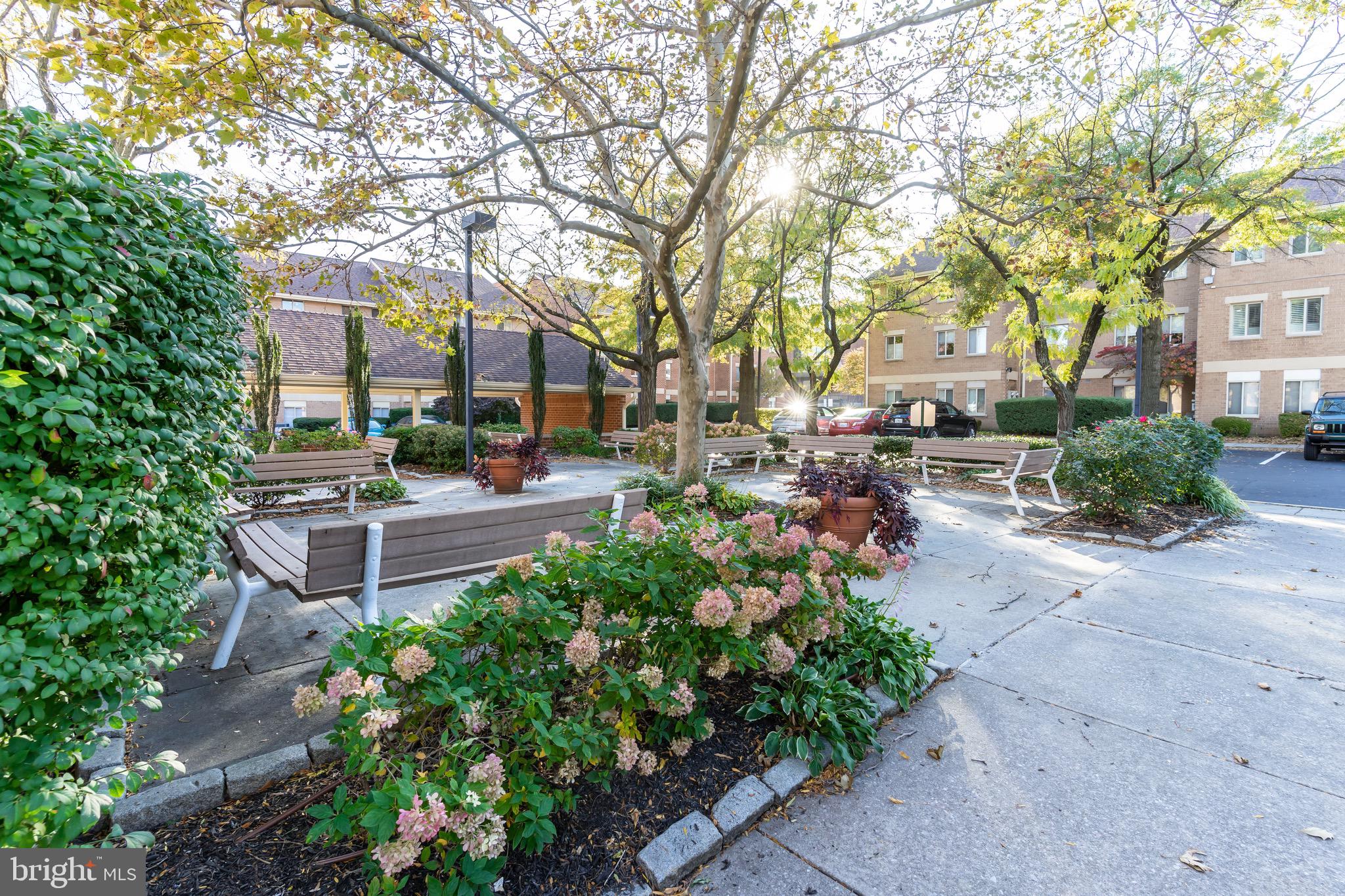 116 West Barre Street, Unit R40 Baltimore, MD 21201 - Photo 4 of 35 Community courtyard