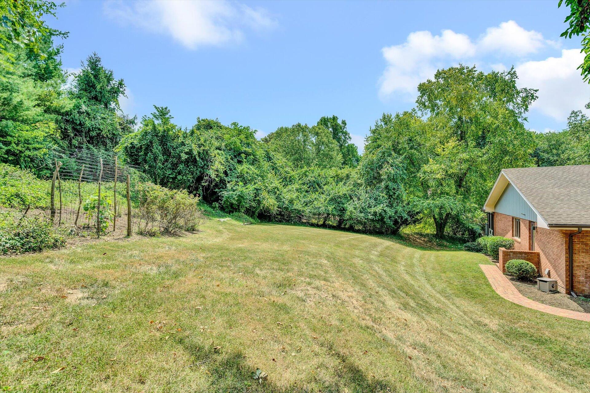 3702 Forest Road Roanoke, VA 24015 - Photo 4 of 55 04-080920210074