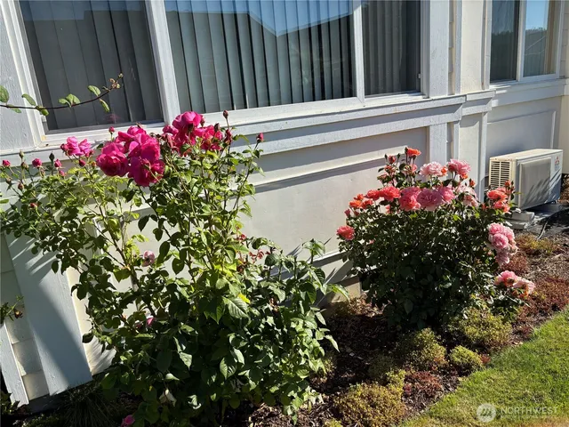 a flower plants and a building