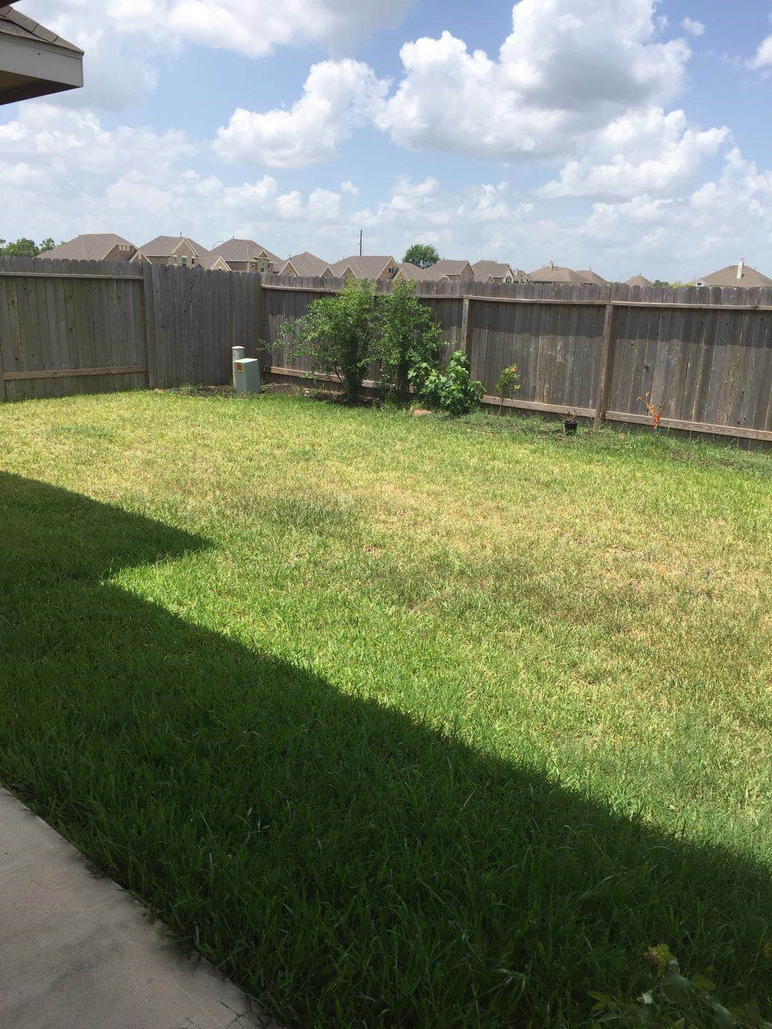 21523 Rainfall Park Drive Spring, TX 77389 - Photo 21 of 22